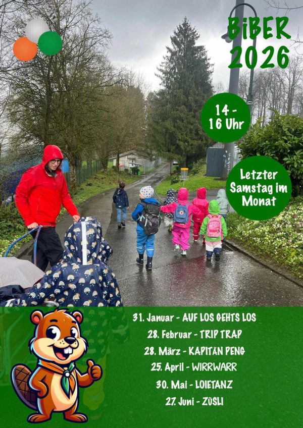 WhatsApp Image 2026-02-11 at 18.49.09